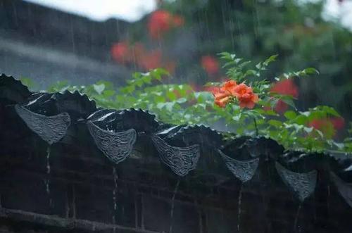 冥想听雨_550字