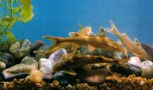 退出竈杂的世界_500字