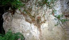 狂风暴雨是最美的行囊_900字