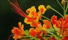 让爱在春天里弥漫_800字