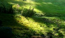 裂缝里的生命_800字