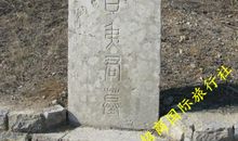 初登微子墓_450字