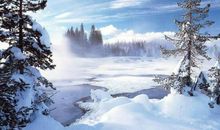 冬雪中的梦幻_1000字