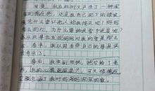 关于母亲节作文：母亲节赠言_900字