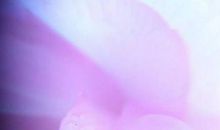 青春季节，因你而美好_1000字