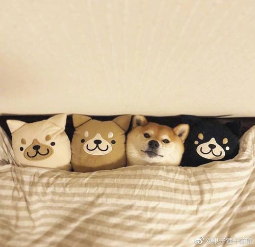 “哐哐 - ”