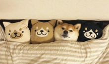 难忘的瞬间_600字