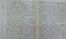 [PK赛]关于感动的作文：琐碎的记忆，感动的心_550字