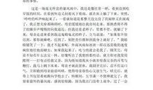 阳光给予的感想_600字