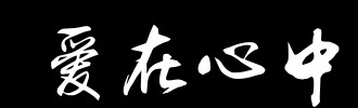 解释新生活，