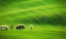 人生如若不再见_250字