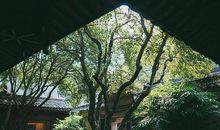 江南的记号_900字