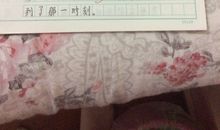 关于体验的作文：记一次体验活动 _800字