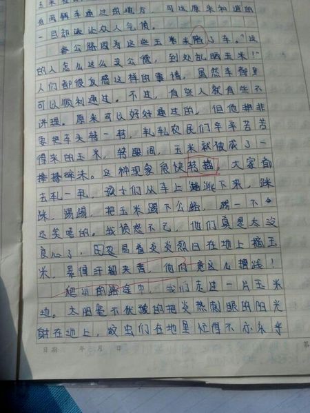 体验的组成：记住体验活动_700字