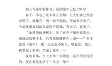 最珍贵的记忆_750字