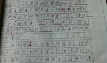 关于体验的作文：体验盲人的一天_550字