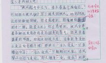 关于体验的作文：奇妙的体验_900字