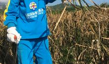 我的乡村之旅_1200字