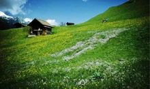 浪漫的雪记忆犹新_400字