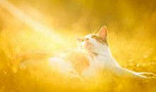 那个温暖的午后_1500字