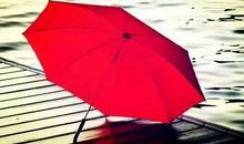 雨中遇你，伞落湿衣_200字