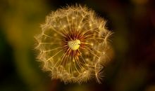 还记得曾经吗_450字