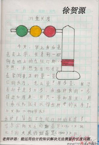 物种_100字