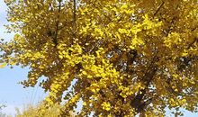 用爱点成片_2000字