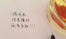 《你若懂我，该有多好》_350字