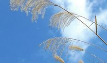 天与天晴_1500字