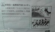 关于观察的作文：小蚂蚁_900字