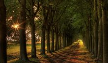 心中那道阳光_650字