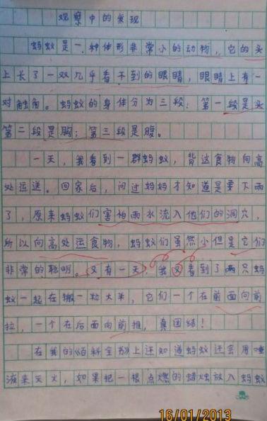 观察中的组成：观察基础_550字