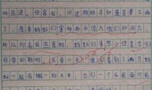 关于观察的作文：观察中的发现_550字