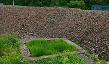 难以忘却的记忆_1000字