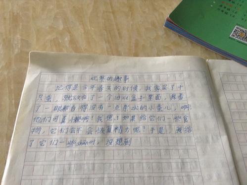 观察组成：观察发现_650字