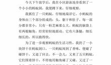 关于观察的作文：观察蚂蚁_550字