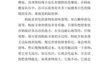 关于观察的作文：观察蚂蚁_500字