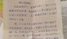 关于观察的作文：观察中的发现_800字