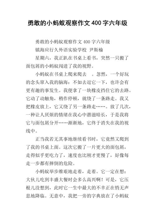 观察组成：观察ANT _400字
