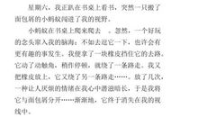 关于观察的作文：观察蚂蚁_400字