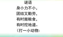 关于观察的作文：观察豆子，柳树_800字