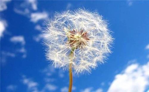 不会改变，永恒_800字