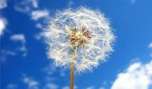 不会变的是永恒_800字