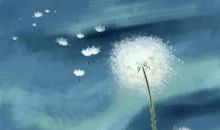 有时，等待也是一种智慧_800字