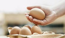 听听内心真实的声音_900字