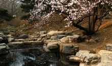 无情似流水_900字