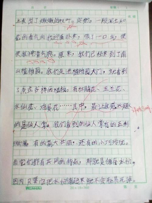 四年级想象：未来村庄头_650字