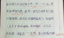 四年级想象作文：未来村长_650字