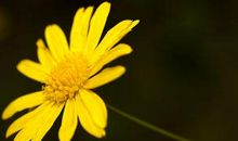 自然的洗礼_500字